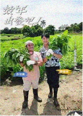 中国好声音 综艺在线看